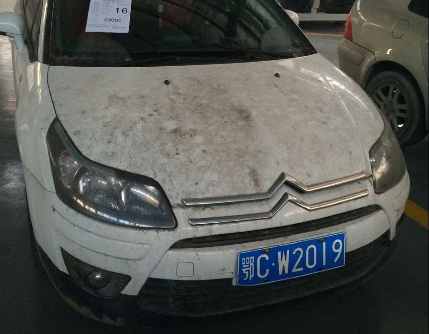 ѩ�F����CW2019